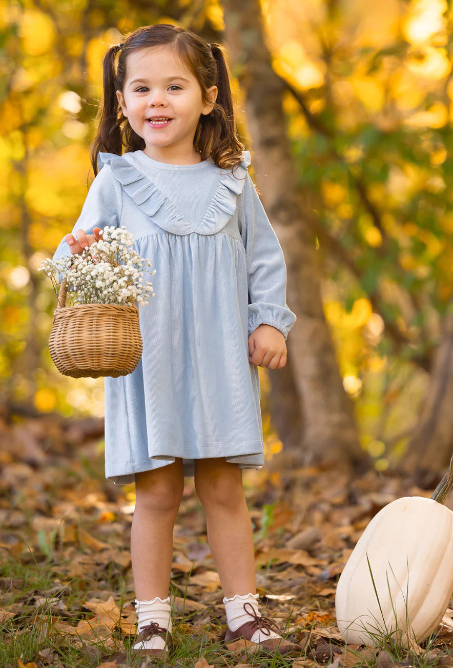 Blue Velvet Blair Dress