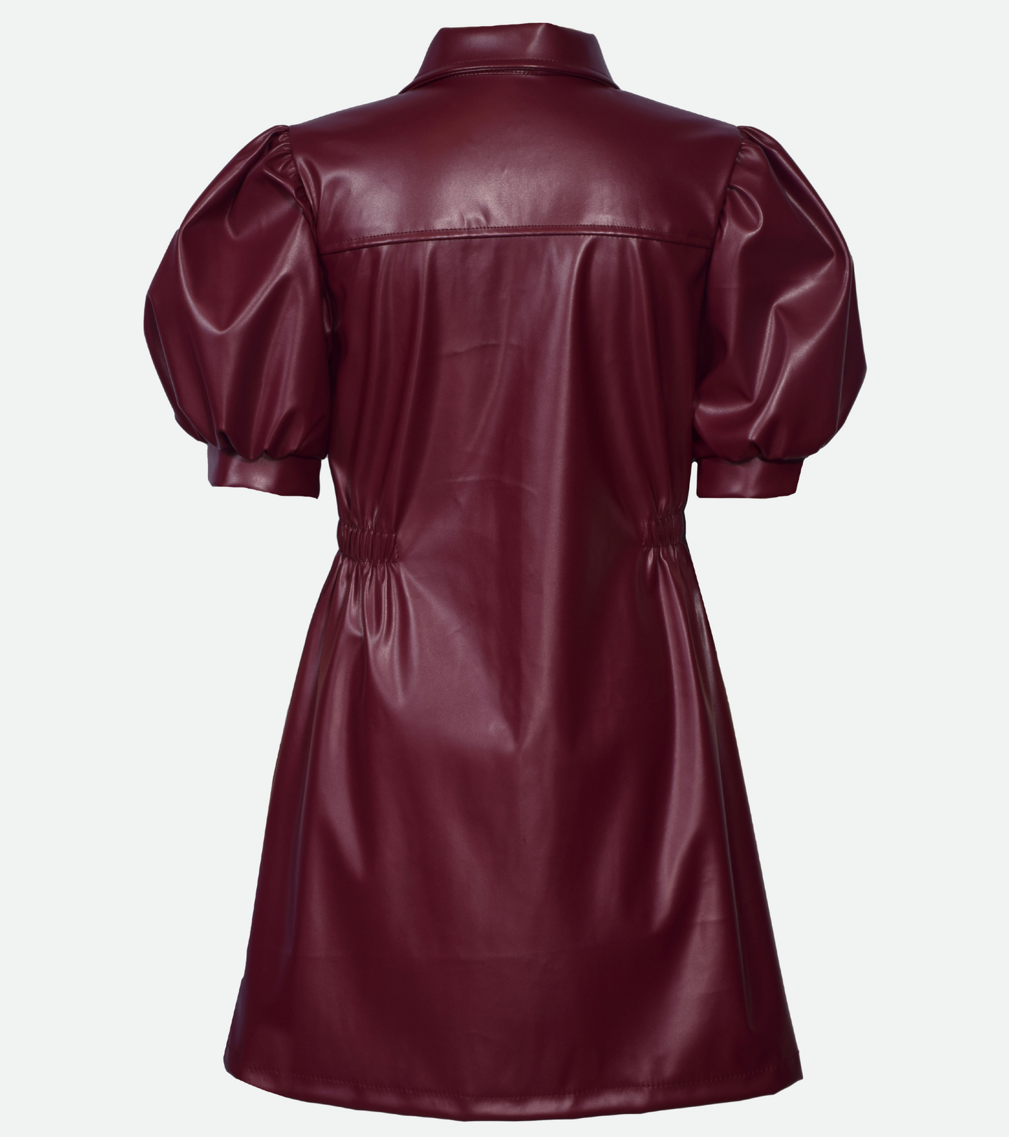 Jemma Leather Dress