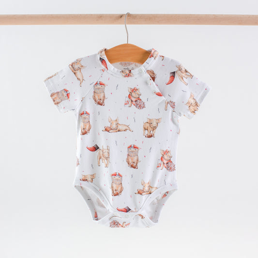 Arkansas Organic Cotton Onesie