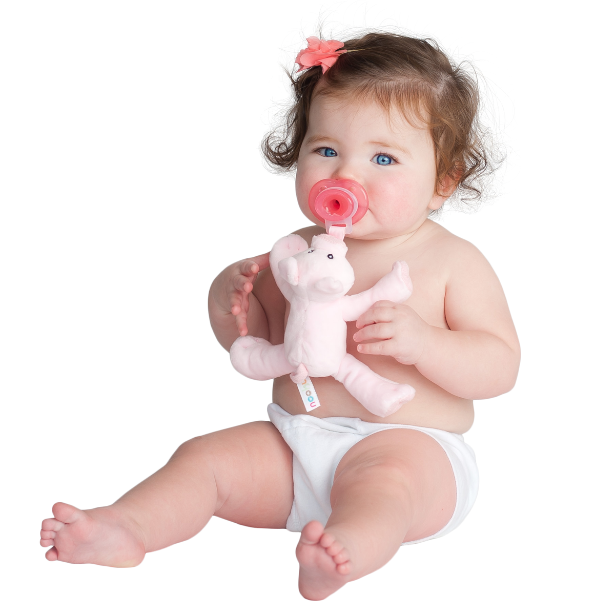 Pigi Pig Shakies Paci