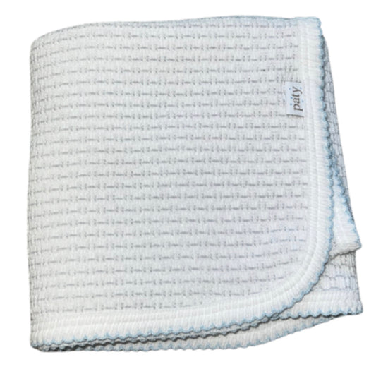 Paty Inc. Grey w/Blue Blanket
