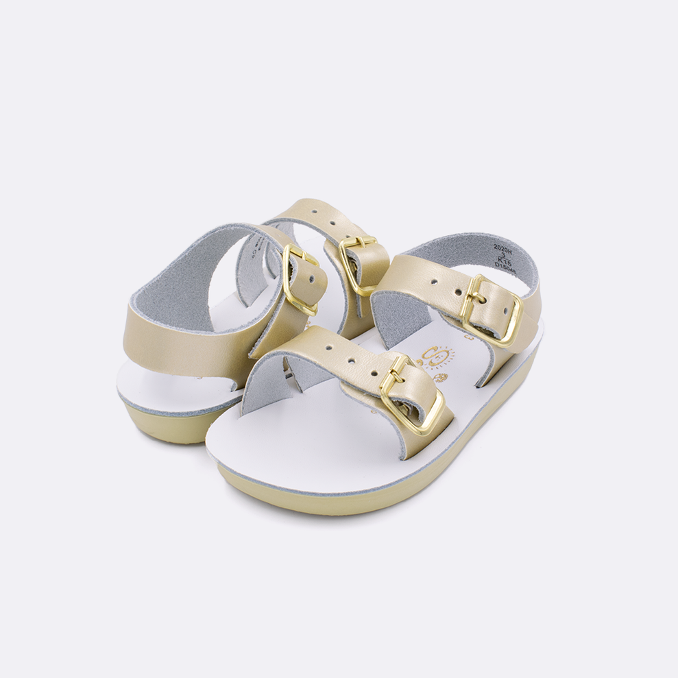 Gold Sun-San Sea Wee