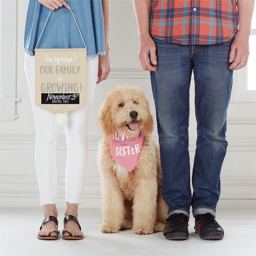 Mudpie Big Sis Announcement Set