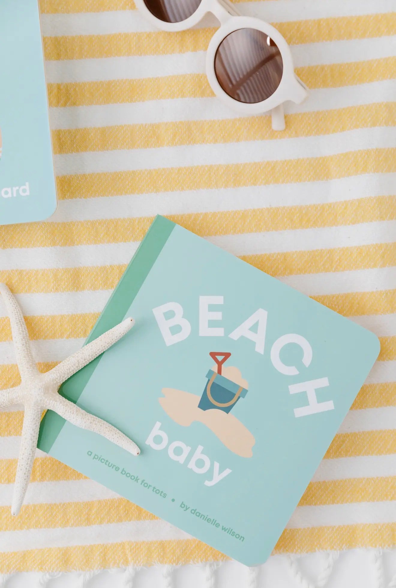 Beach Baby Book