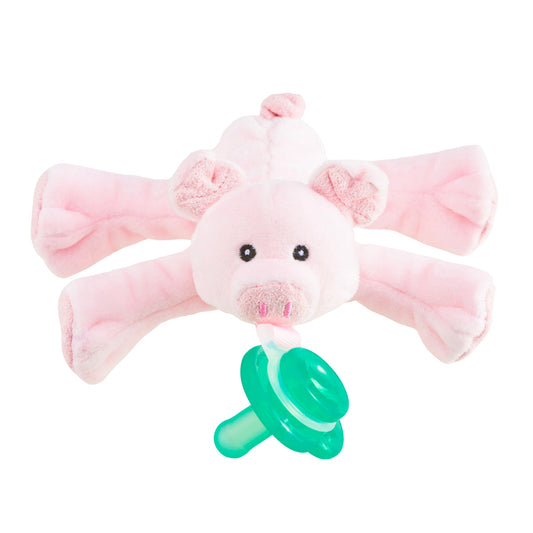 Pigi Pig Shakies Paci